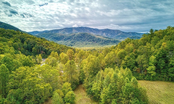 Cosby Cottage | Misty Cove Cabin -Pickleball Court, Creek, WIFI, Mountain Views, No Cleaning Fee
