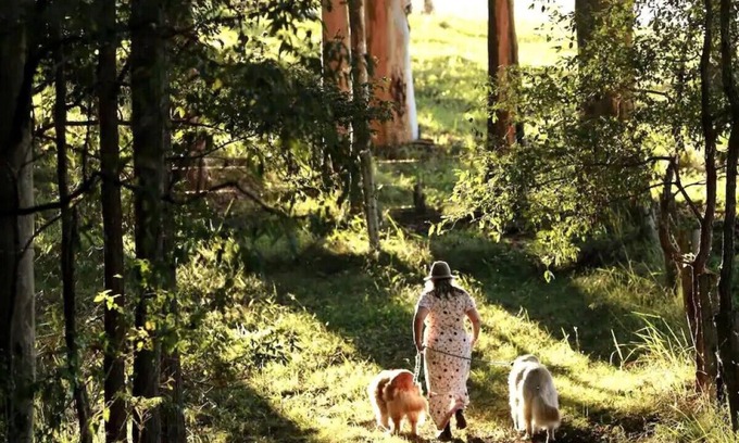 Congarinni Cabin | Misty Valley CabinnPet Friendly Getaway