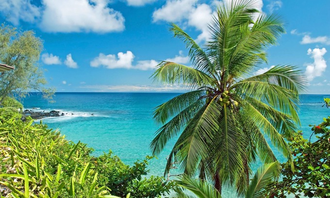Wailuku Condo | MKT 233B $299 Fall Special at Remodeled 3Bedroom Hawaiiana Guest House w Hot Tub