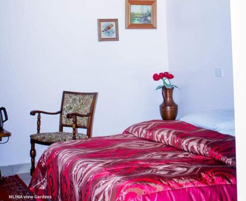 Nanyuki Hotel | MLIMAVIEW GARDENS BY Cradle Ranch