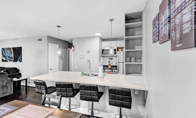 Hyde Park Apartment | Modern 2BR Montrose Walkable Parking Crib