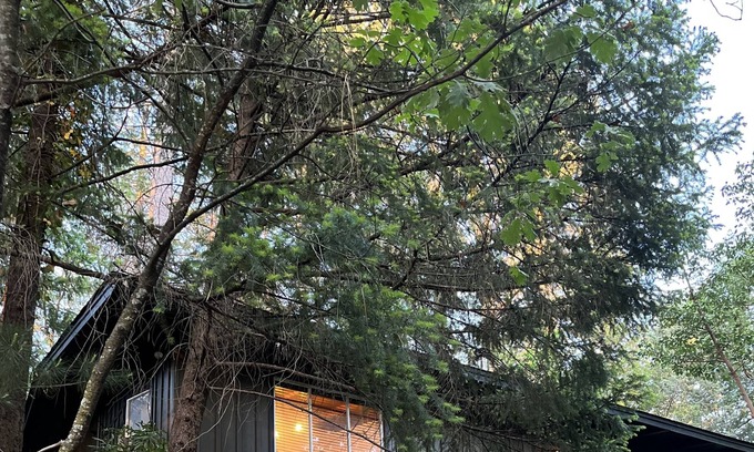 Cobb Cabin | Modern and beautiful renovated cabin in Lush Lake County!