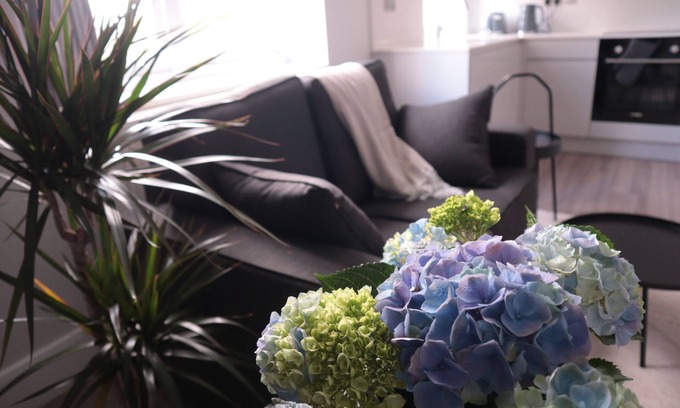 St. George's Apartment | Modern and Bright Flat- in Vibrant Camden