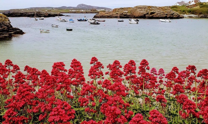 Trearddur Bay Apartment | Modern apartment with sea views free WIFI