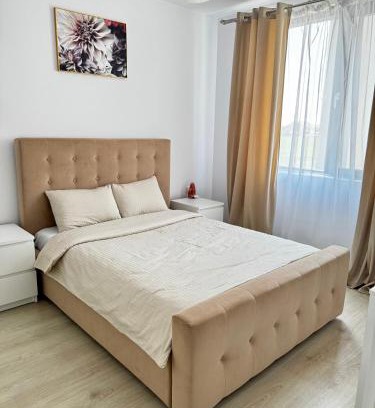 Dumbravita Apartment | Modern Apartment