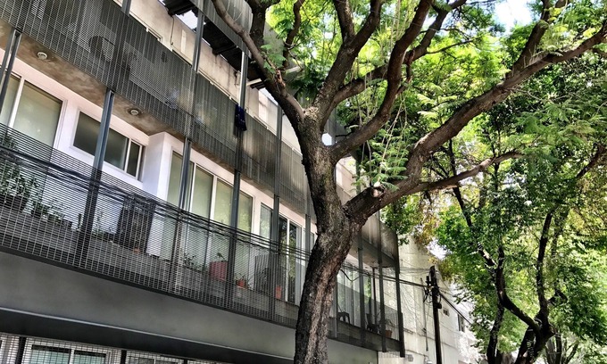 Escandon Apartment | Modern Building next to Condesa and WTC