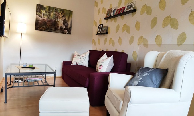 Hohegeiß Apartment | modern, comfortable studio - Sauna and table tennis in the house, Free WiFi!