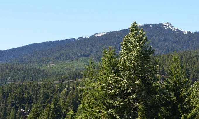 Whistler Creekside Condo | Modern Designed Condo, Walking Distance From Chairlift With Mountain View
