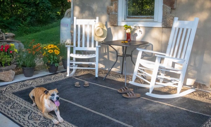Clifford Apartment | Modern , farmhouse basement, suite, queen bed, efficiency , dogs welcome.