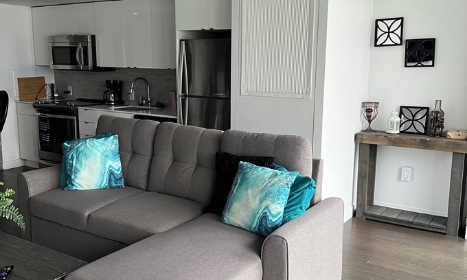 Downtown Winnipeg Apartment | Modern Luxury 2 bed sleeps 5 wifi laundry king bed