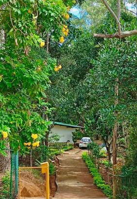 Bandarawela House | Modern Nature Retreat - Private Holiday Home in Bandarawela Hills