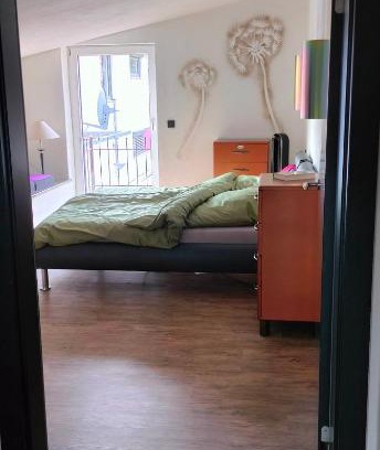 Bad Schussenried Apartment | Moderne Vintage Ferienwohnung