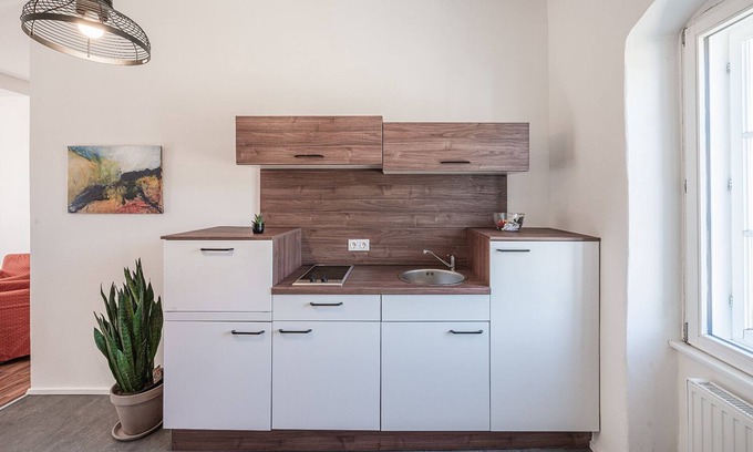 Gars am Kamp Apartment | Modernes, Renoviertes Appartement mit 75qm