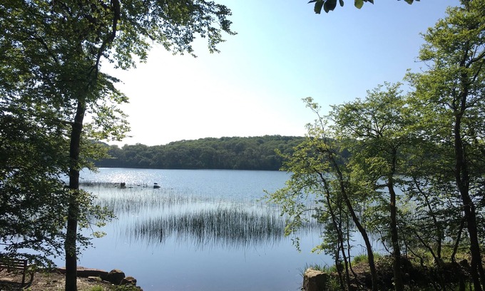 Boyle House | Modernised cottage, panoramic lake views, private woodland walks along lakeside.