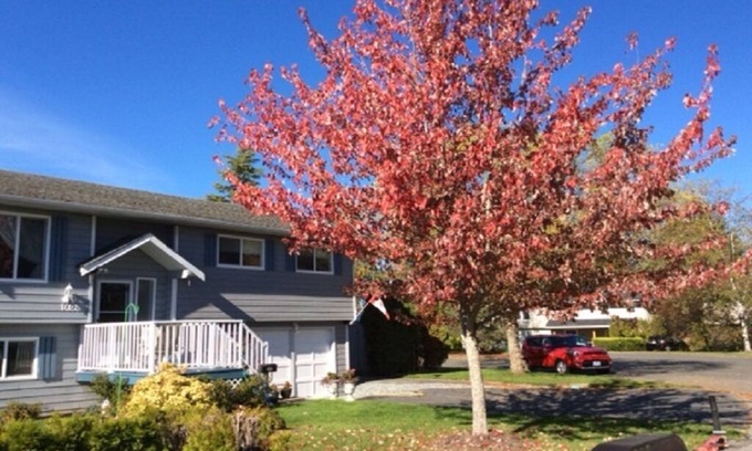 Sidney House | Modernized 1 Bedroom suite close to downtown Sidney