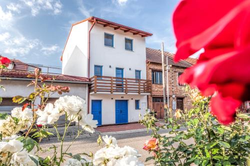 Velke Pavlovice House | Modrý sklep 77