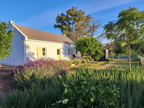 Calitzdorp House | Moira's Cottage