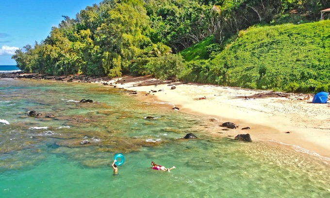 Kilauea Cottage | Moloa'a Bay Cottage: 1 BR, 1 BA Cottage in Anahola, Sleeps 4