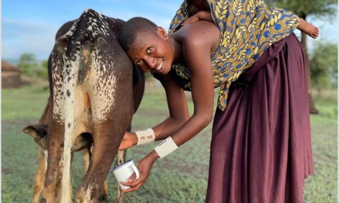 Kilimanjaro Region House | Mombo Maasai Culture Homestay