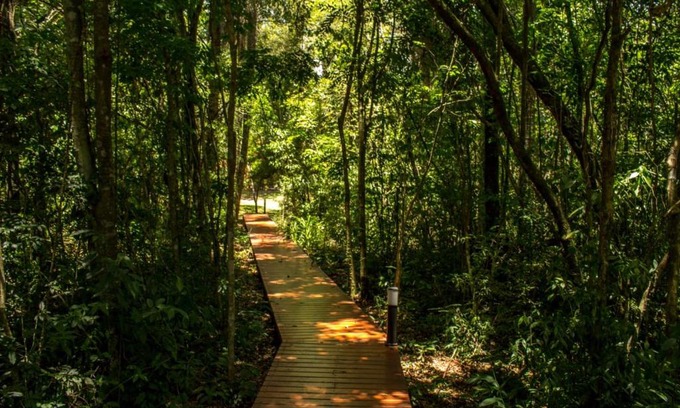 Santa Ana Resort | Momora distrito selva
