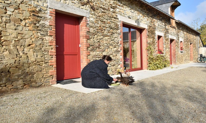 Challain-la-Potherie House | Mon Savoureux Jardin: Comfortable country cottage for animal lovers