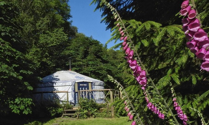 Newton Abbot RV Rental | Mongolian yurt in idyllic and totally private setting on Dartmoor