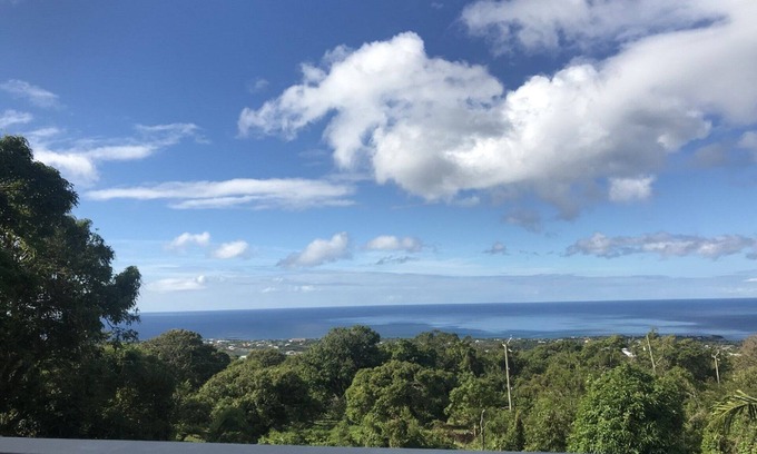 Fountain House | MONKEY PAW -BLUE CARIBBEAN MEETS MT NEVIS RAIN FORST