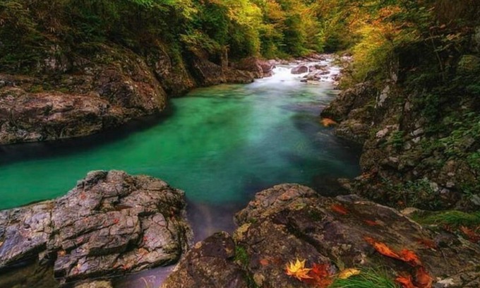 Monroe House | Monroe!Spacious pad,Treehouse Vineyards,Fun,Relax!