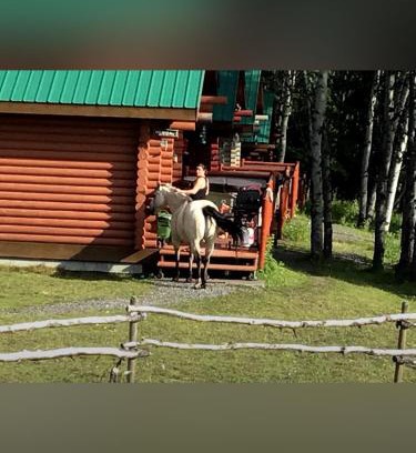Bridge Lake Resort | Montana Hill Guest Ranch