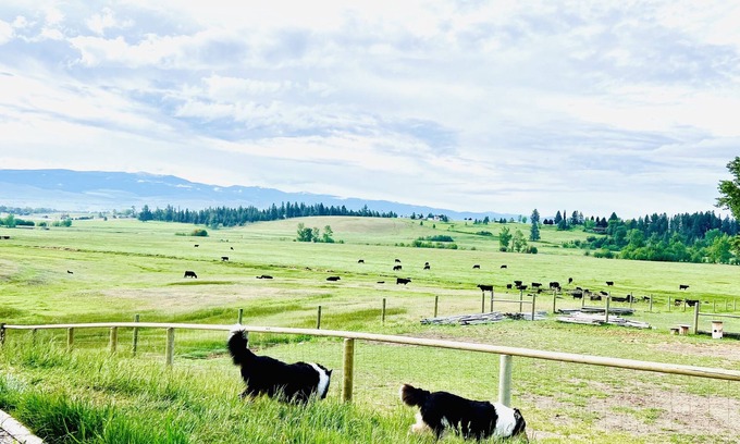 Victor Other | Montana View 360