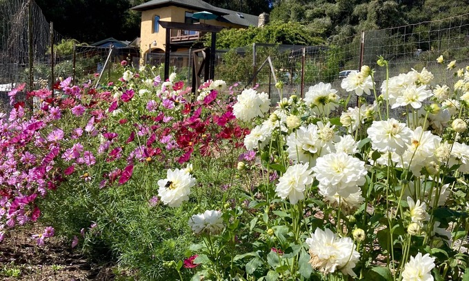 Day Valley Cottage | Monterey Bay Farm Retreat! Best access to Monterey & Santa Cruz attractions.