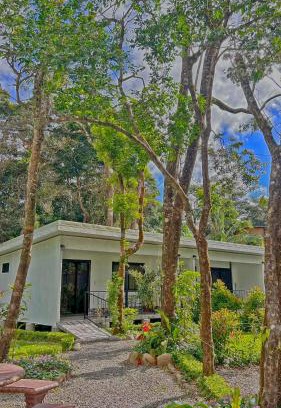 Monteverde Apartment | Monteverde Magic Mountain