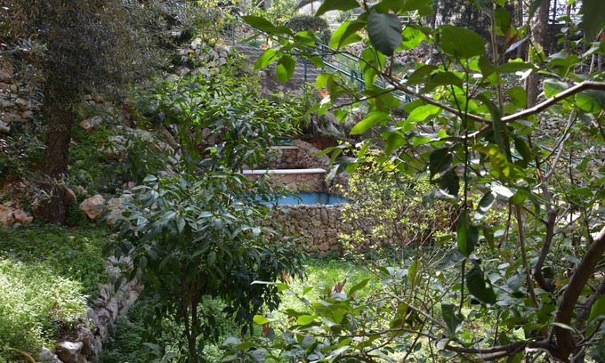 Beit Mery Hotel | Monteverde Hotel