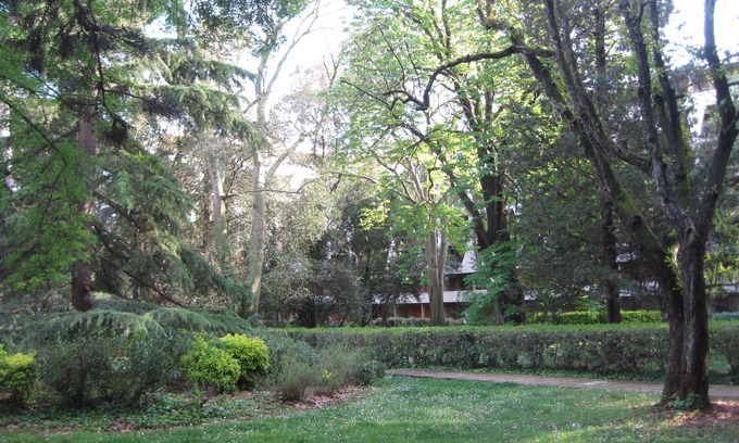 Les Beaux-Arts Apartment | Montpellier quiet with large pool.