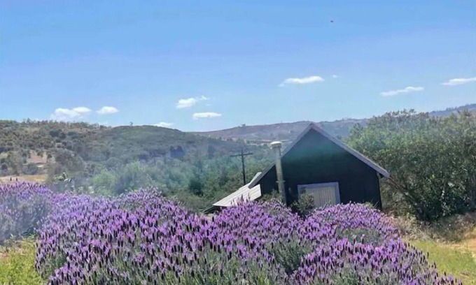 Valley Center Cottage | Moonrise Cottage at Buena Terra Lavender Farm