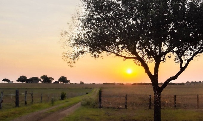 Shiner Other | MoonShiner Farm - Shiner TX