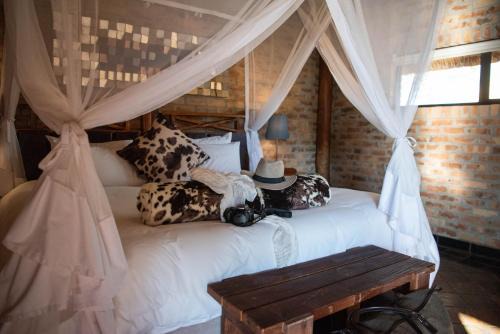 Dr Ruth Segomotsi Mompati District Municipality Cabin | Morakane Safari Lodge