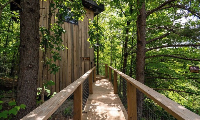 Primrose Cabin | Morel Glamping Cabin with Wifi