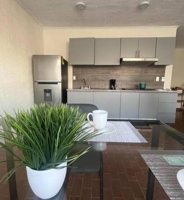 La Piedad Apartment | Morelos 67 Apartment