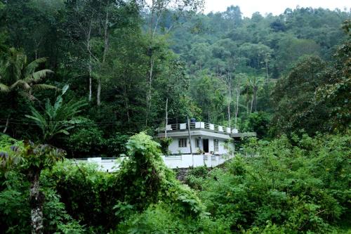 Devikolam Villa | Morning Hills