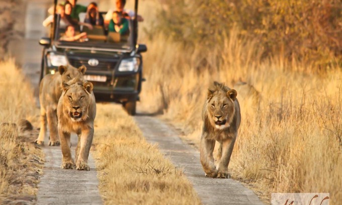 Pilanesberg National Park Cabin | Morokolo Safari Lodge Self-catering