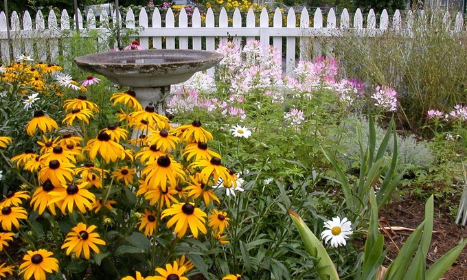 Somerville Bed & Breakfast | Morrison House