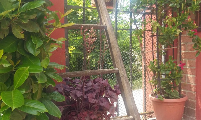 San Damiano dʼAsti Bed & Breakfast | Mosci's Bed & Beer - Birreria con Bed & Breakfast