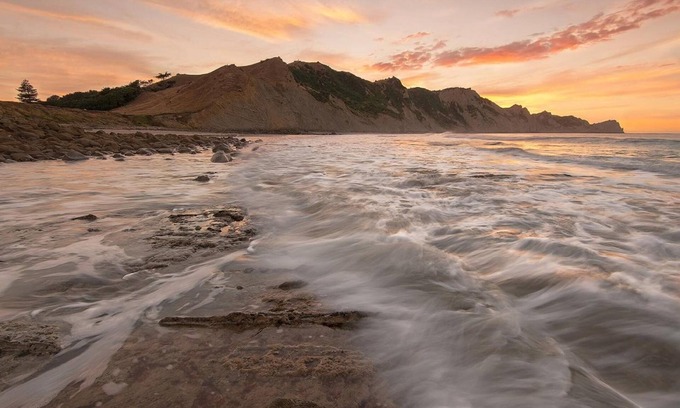 Gisborne Hotel | Motel Oasis, Gisborne