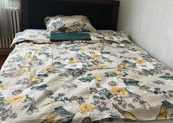 Basadingen-Schlattingen Hotel | Motel Schwanen