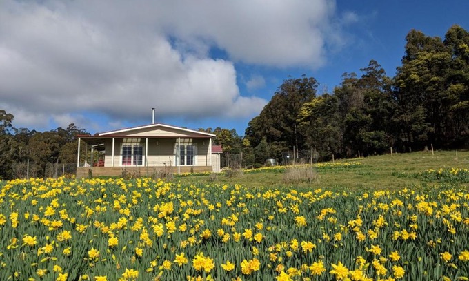Golden Valley House | Mountain Blue Guest House