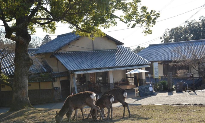 Nara Apartment | Mountain Home Lodge in Deer Park