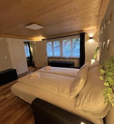Boenigen Apartment | Mountain Homes