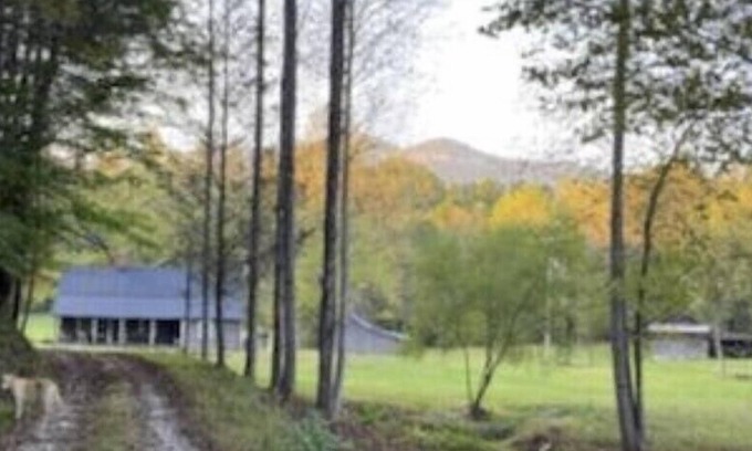 Pickens Other | Mountain homestead - vast property with winding creek sleeps 7