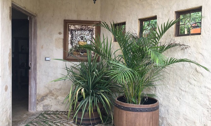 Oaxaca House | Mountain House. Located in the North zone of the City of Oaxaca. Campirano.